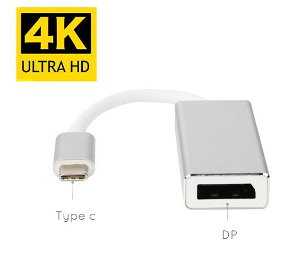 Convertisseur adaptateur USB-C mâle vers DisplayPort femelle Convertisseur adaptateur USB-C mâle vers DisplayPort femelle
